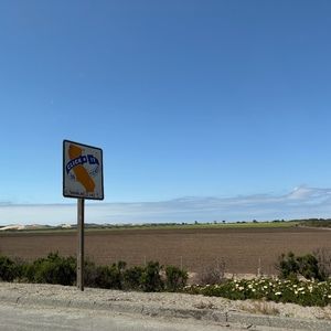 Meet your Posher, Gretchen